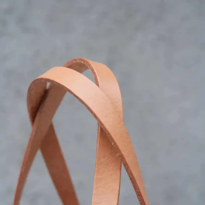 Close-up of the Vegetable Tanned Leather top handle, showing the smooth texture and stitching.