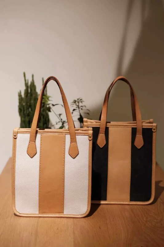 Everyday Charm, Redefined: The Leather & Canvas Mini Tote